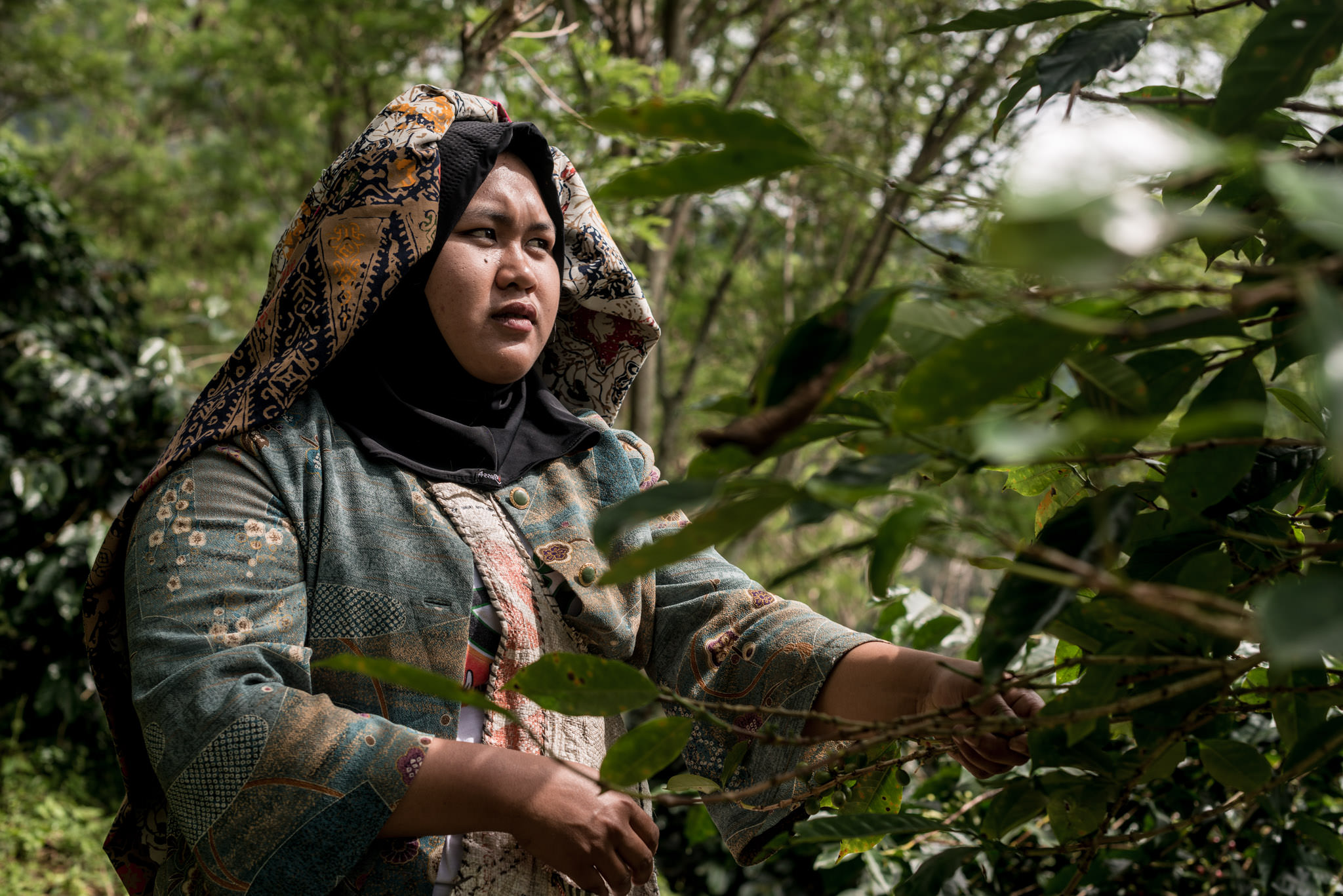 Coffee is a gift from nature