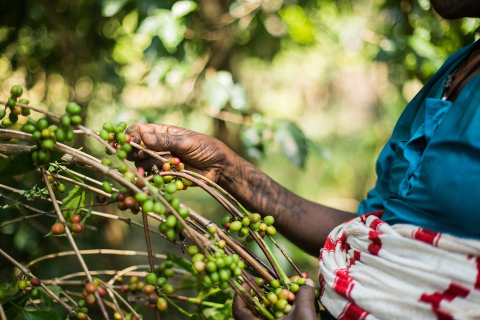 Environmental Responsibility