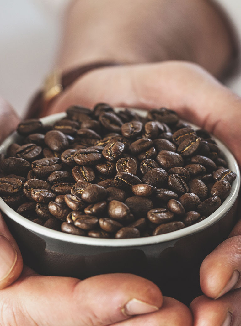 Journey Through Coffee